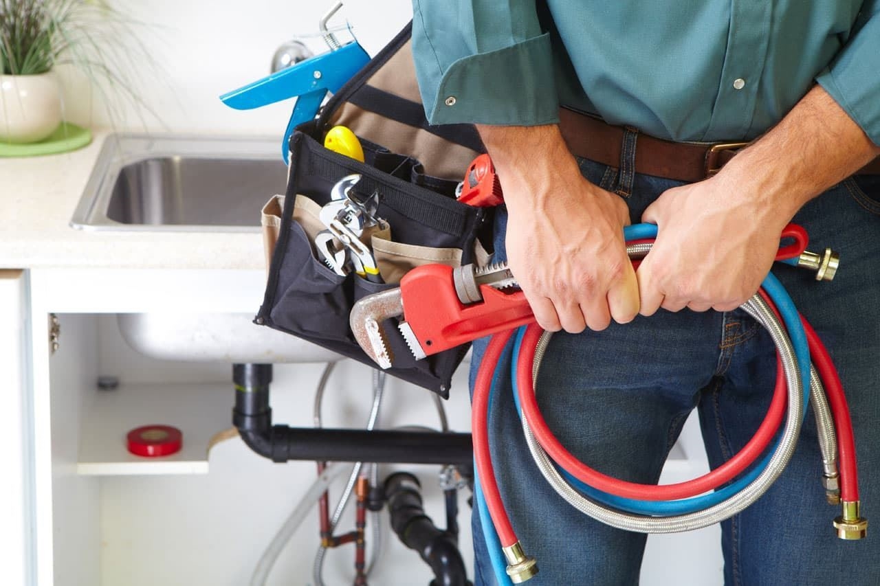 Envíos gratis a partir de 500 €